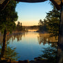Coastal Pines