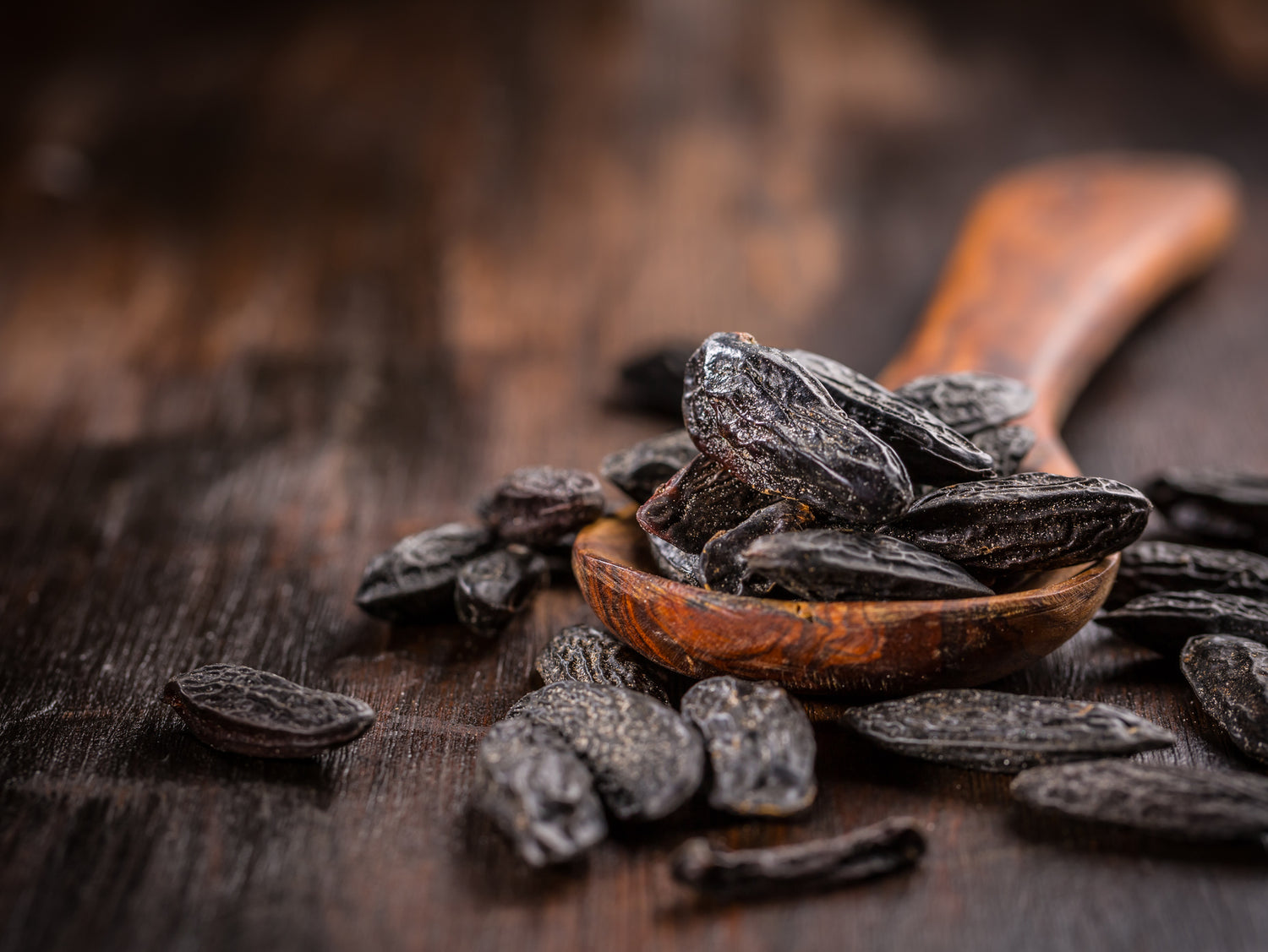 Cedarwood & Tonka Candle