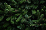 Fraser Fir Tree Candle