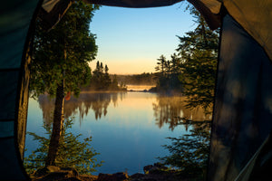 Coastal Pines