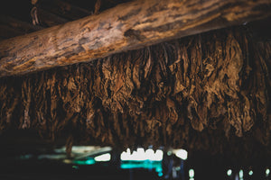 Tins & Pouches Beard Oil