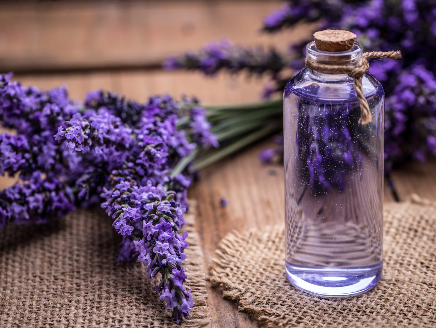 Lavender & Cedar  Candle