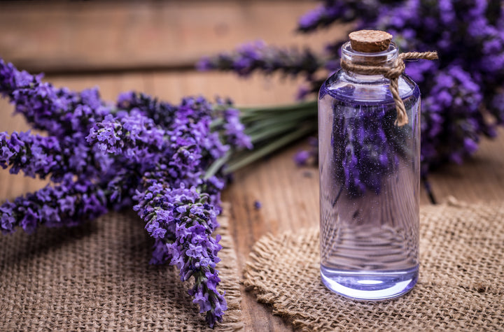 Lavender & Cedar
