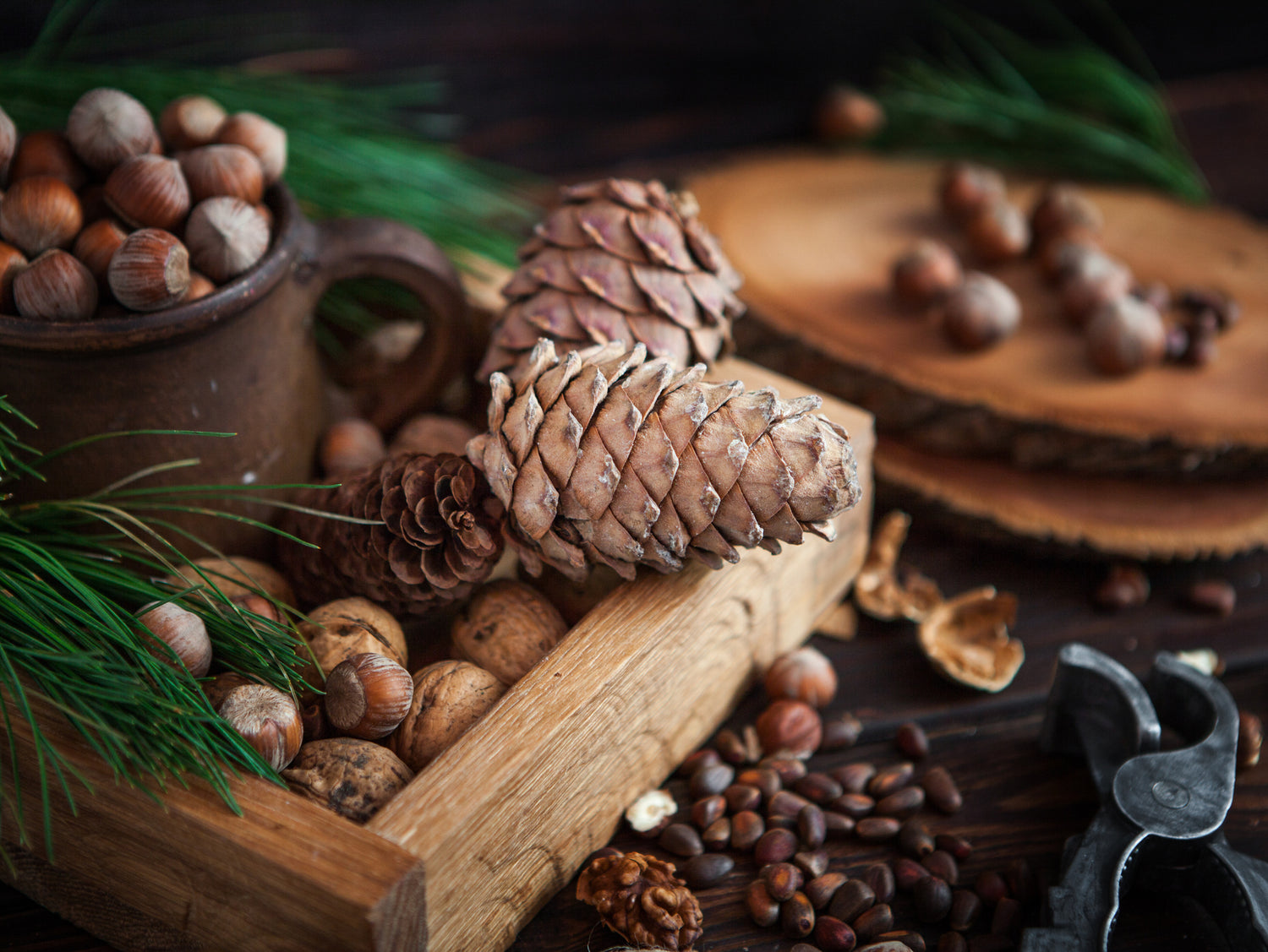 Toasted Pinecone Wax Melts