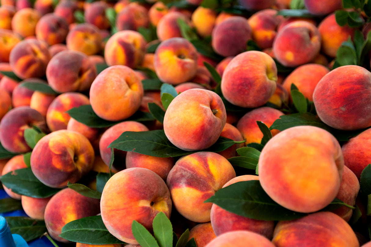 Summer Peach Candle
