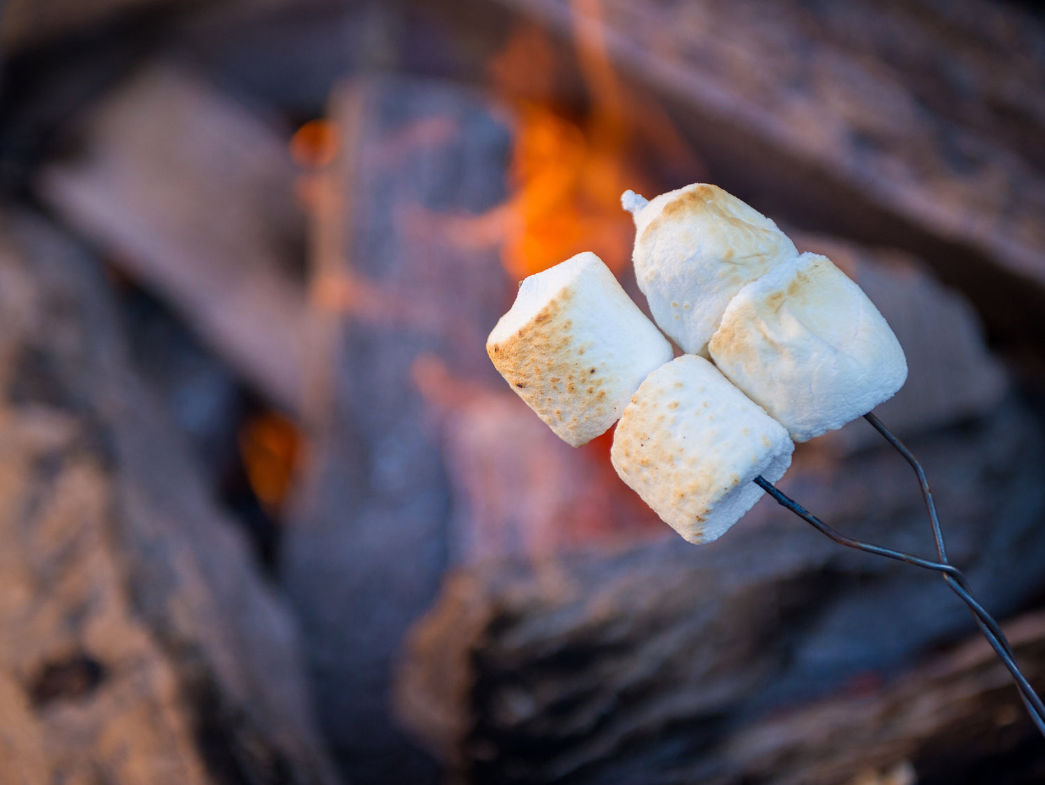 Toasted Marshmallow Wax Melts