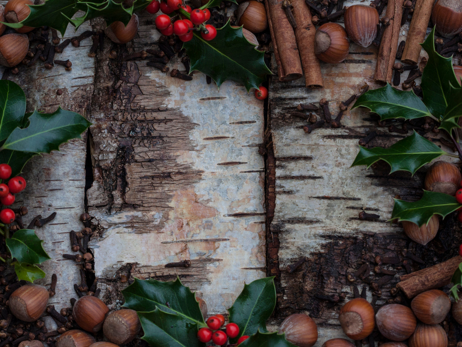 White Birch & Cinnamon Wax Melts